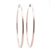 Large 14k Gold Hoop Earrings