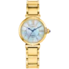 import placeholder for 435041