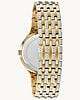 bulova phantom