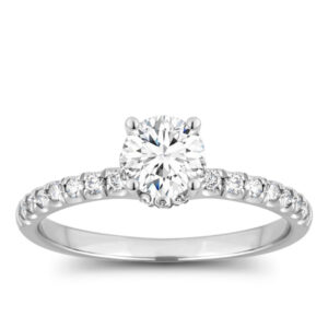 Diamond Hidden Halo Semi Mount (1/5cttw)
